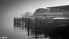 mike wheelton auckland